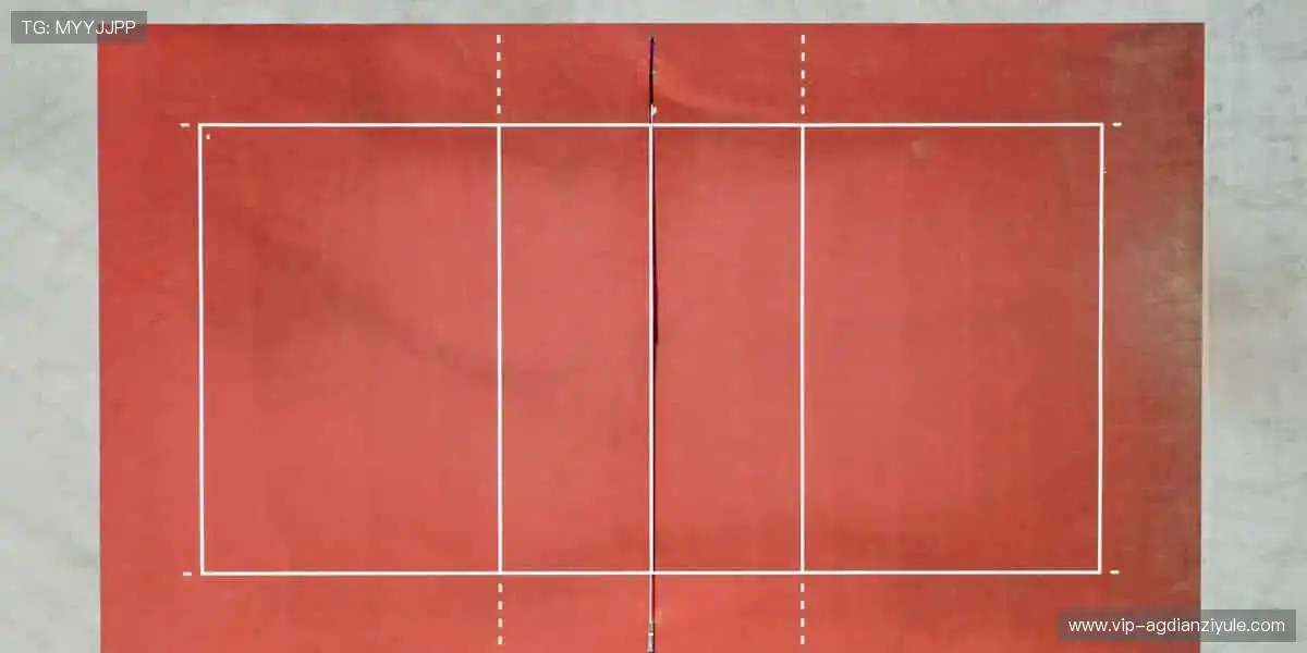 扑克游戏核心平台：聚焦顶级技巧，高清互动精彩升级